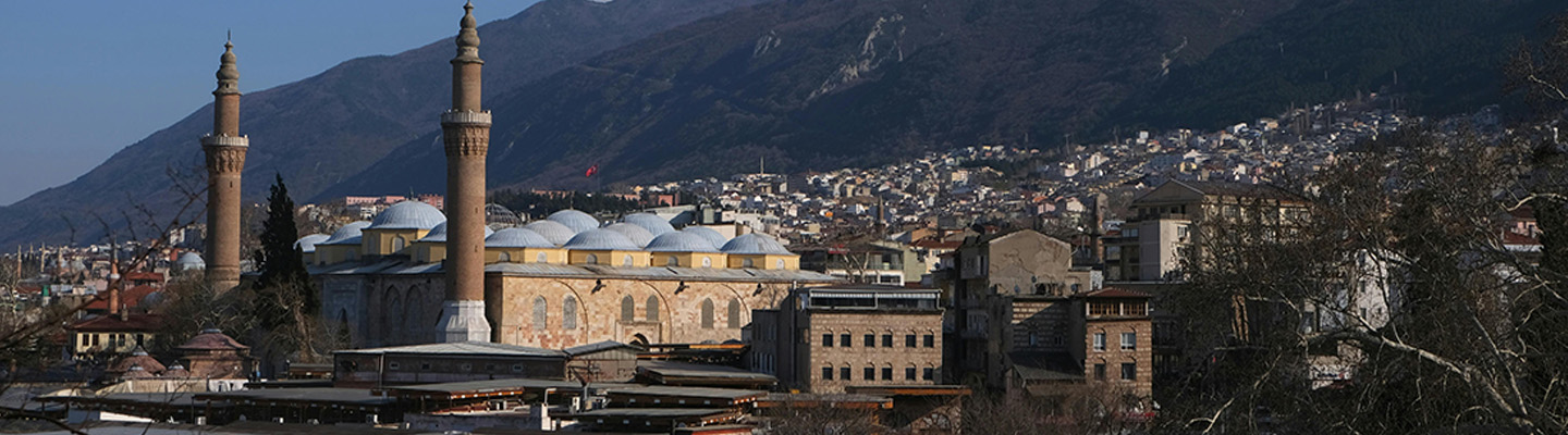 Bursa Çıkışlı