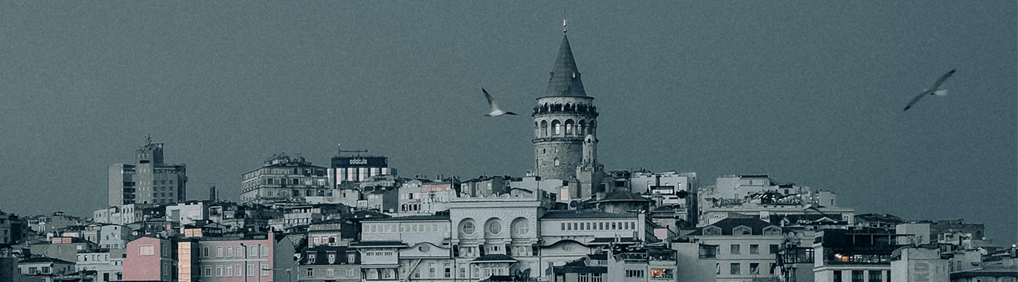 İstanbul Çıkışlı