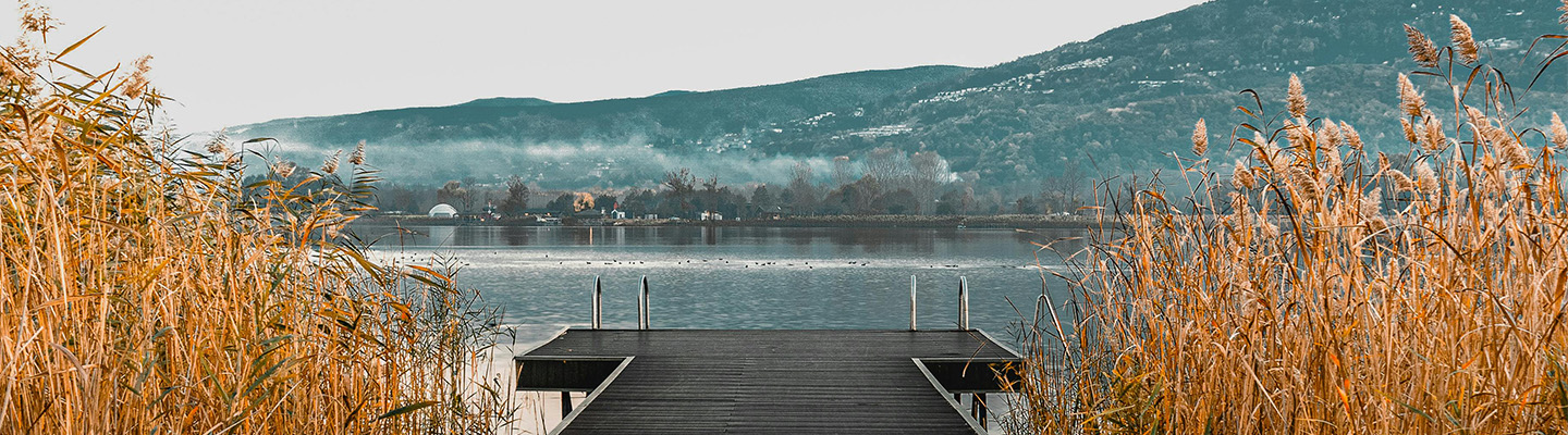 Sakarya Çıkışlı